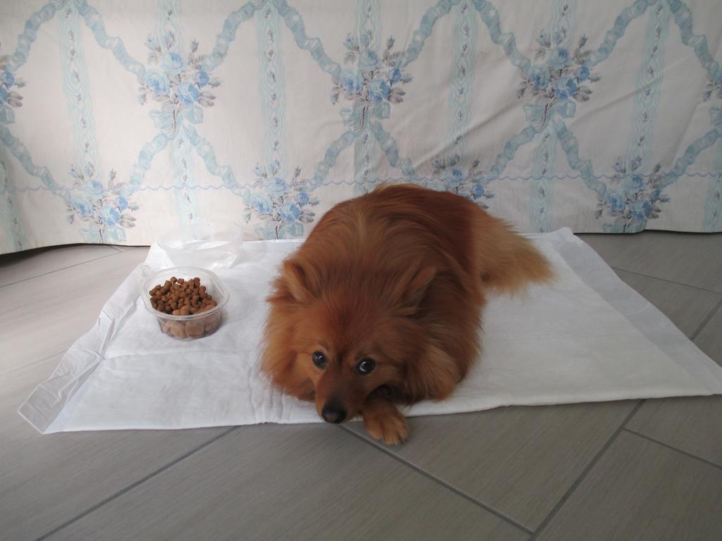 Dimora&Arte B&B Canneto sull'Oglio Cameră foto